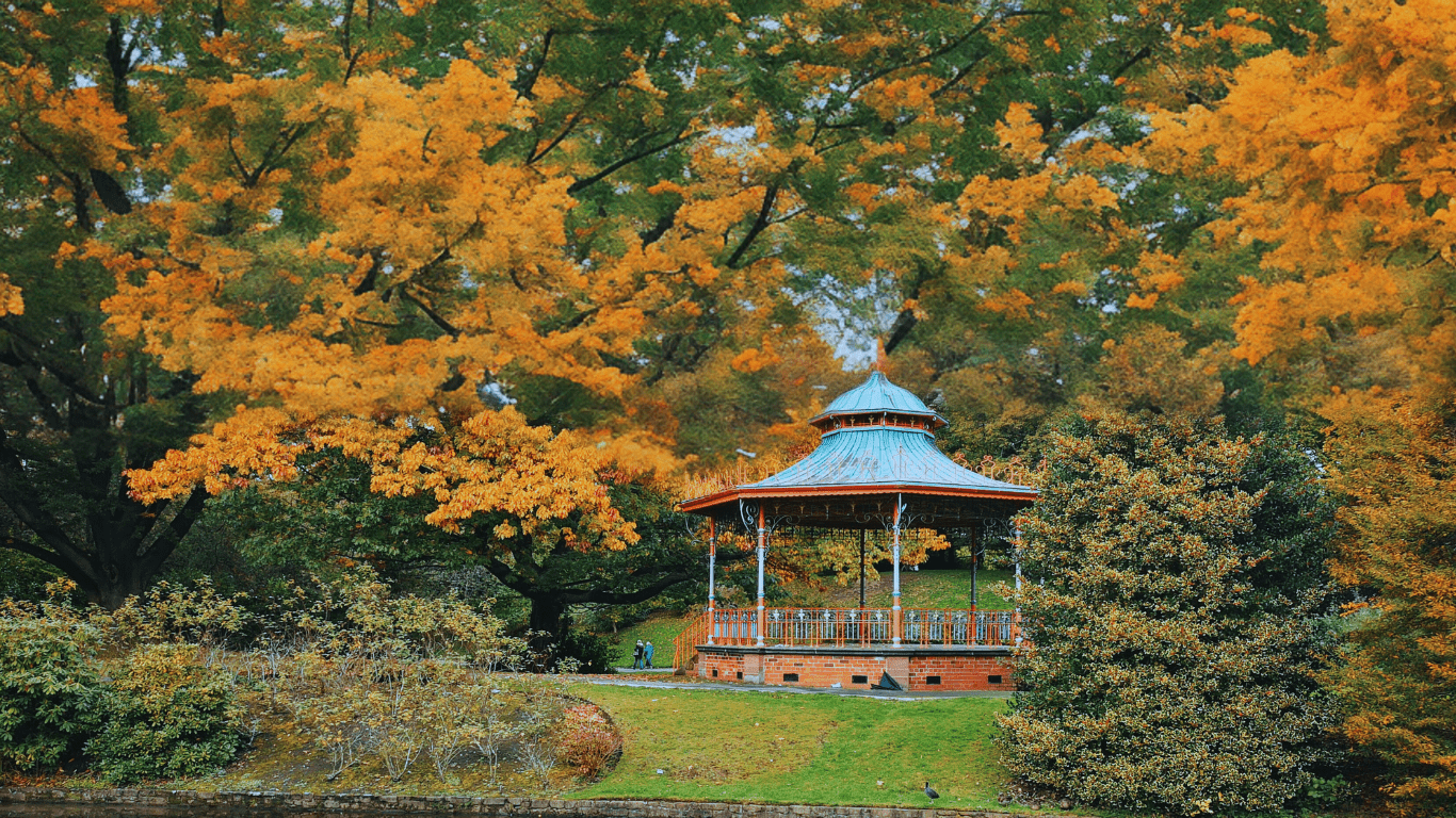 autumn blog - liverpool things to do